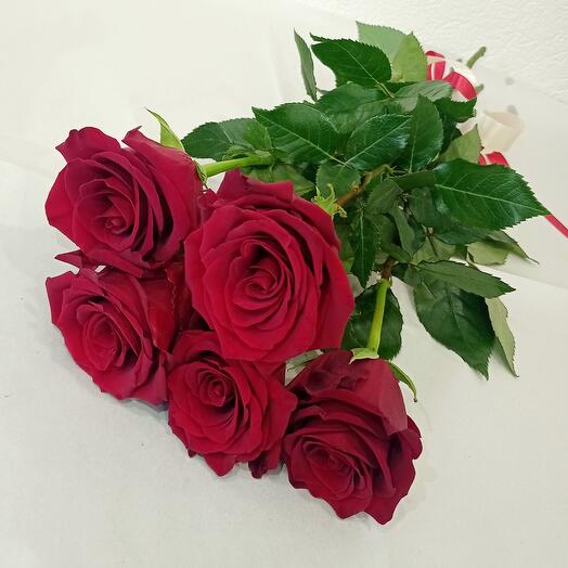 Roses Explorer 5pcs
