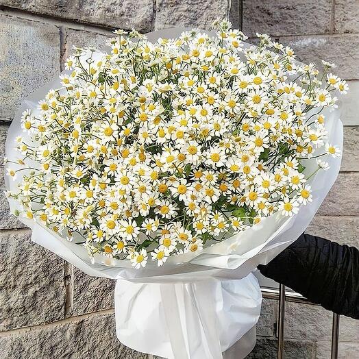 Пышный букет ромашек