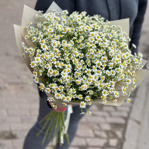 Bouquet of daisies