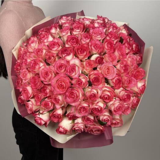 101 Double Shade Pink roses