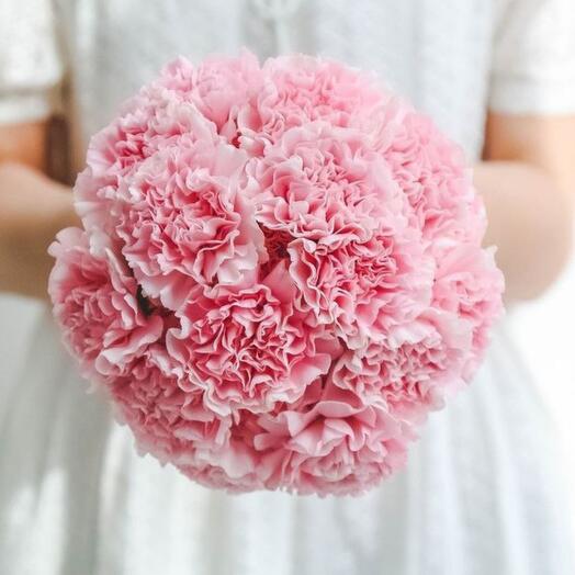 The bride's bouquet of pink dianthuses