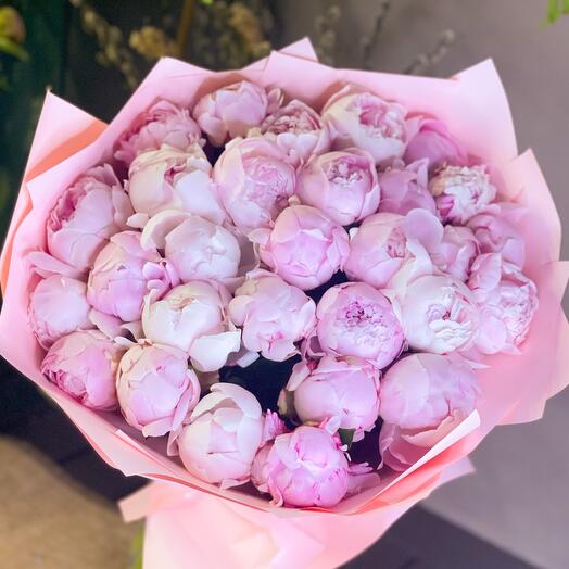 Пионы розовые, Сара Бернар, 29 штук
