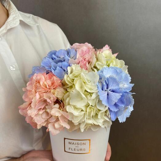 Hydrangea mix composition in a white MINI box