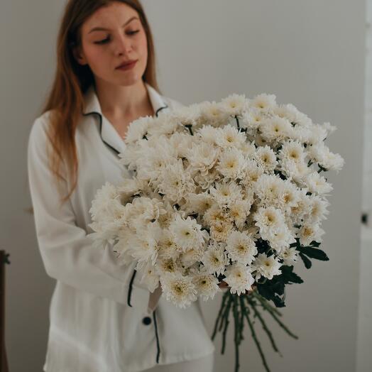 Белоснежная Зембла