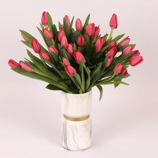 Scarlet 31 Red Tulips