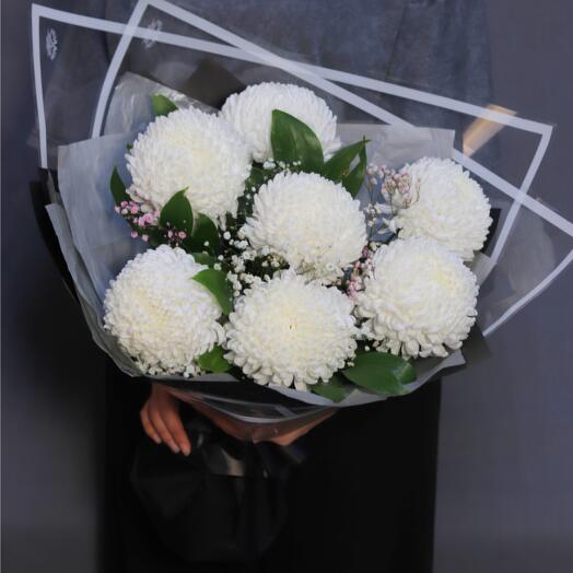 Bouquet Of Snow-White Chrysanthemums