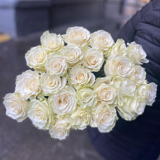 Ramo de 25 rosas Blancas