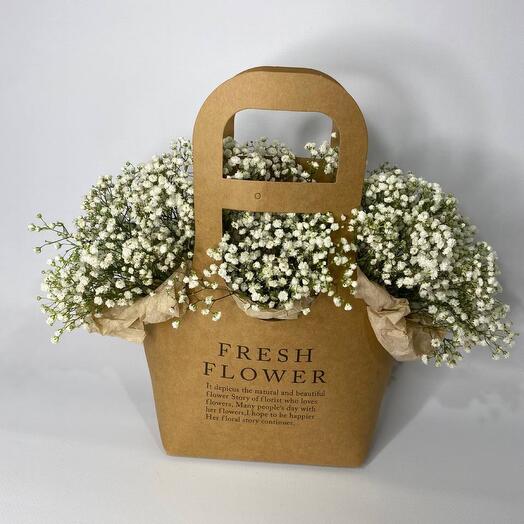 Gypsophila in the handbag