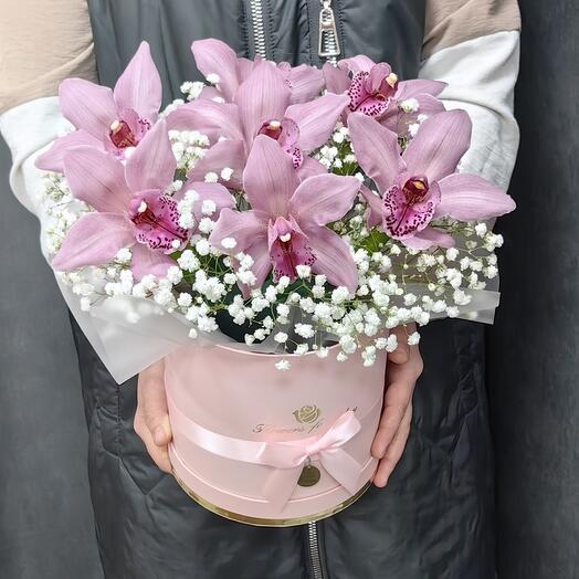 Delicate orchids with gypsophila in a box