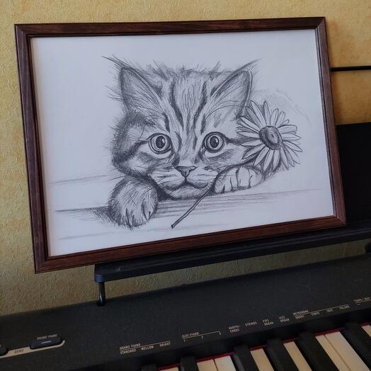 Картина Котик с ромашкой