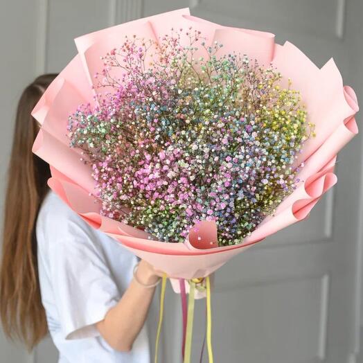 Радужная гипсофила (7шт)