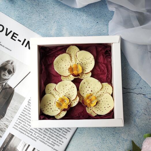 Орхидеи из шоколада 3 штуки