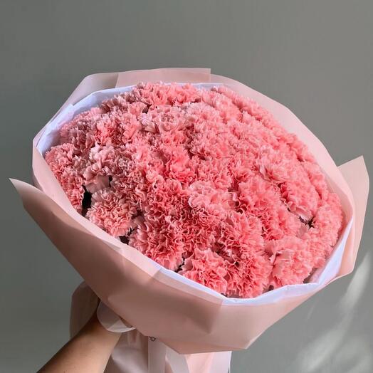 Диантусы розовые красивые