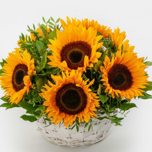 Солнечное лето🌼🌼