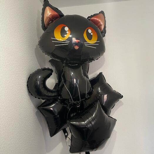 A set of balloons and a black cat9 for girls,for girls,for men)