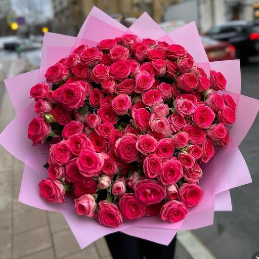 Graceful Fuchsia, Flowers Dubai, United Arab Emirates, buy at a price