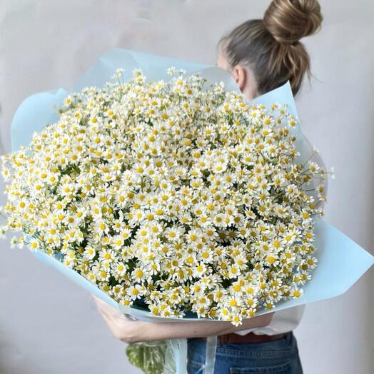 Самый летний букет ромашек