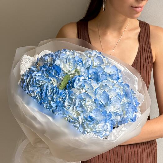 Monobuceta de hortensias azules
