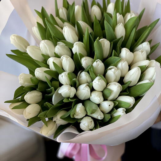 51 White Tulips