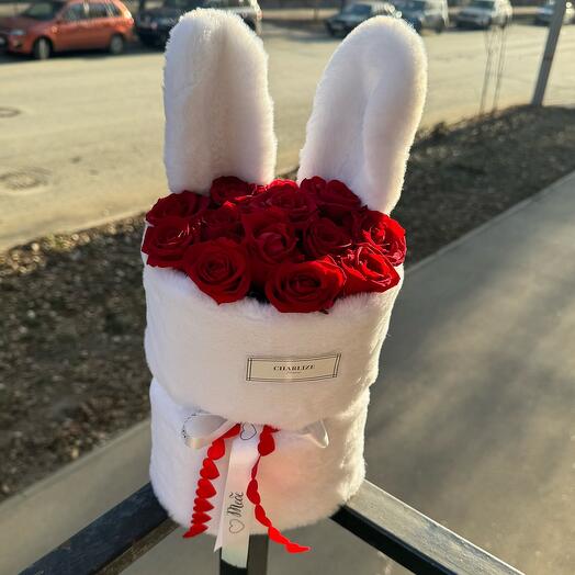 Bunny🐰