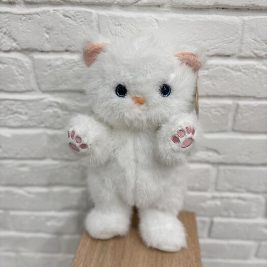 Кошечка белая