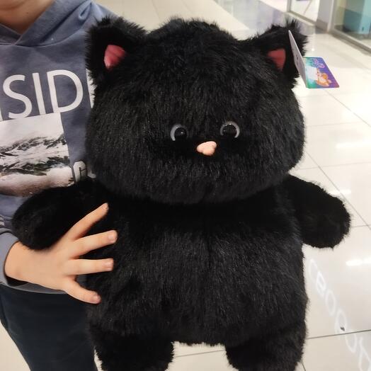 Сет 10 Черный кот