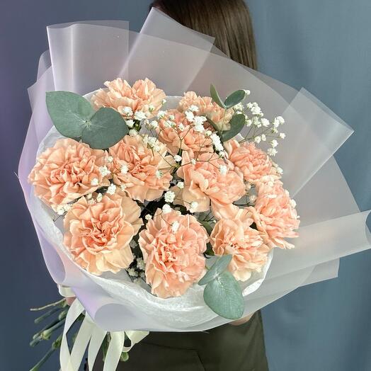 Mono ramo de durazno Dianthus