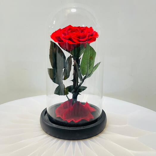 Infinity Red Rose in Glass Dome – A Unique Valentine s Gift