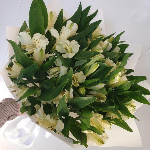 Букет Альстромерии
