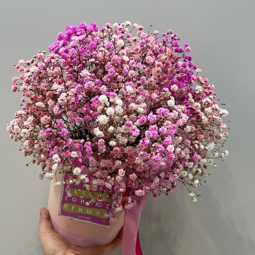 Коробка из гипсофилы