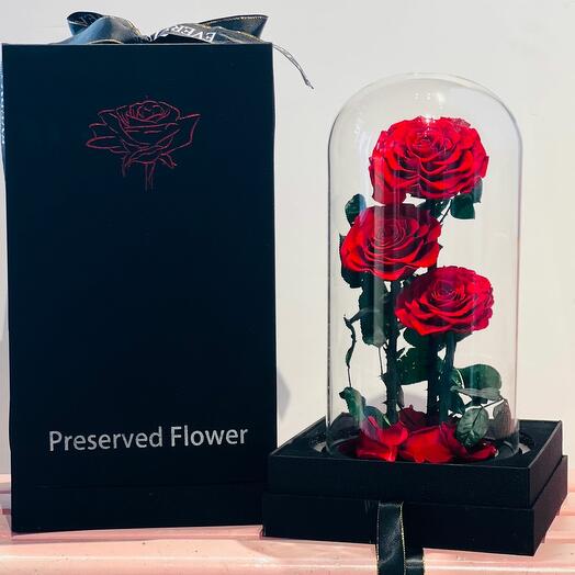 Preserved Red Rose 3 Stem