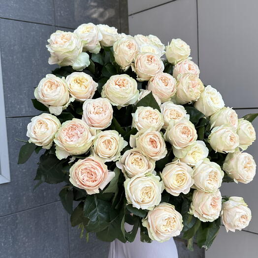 Роза пионовидная 39 шт