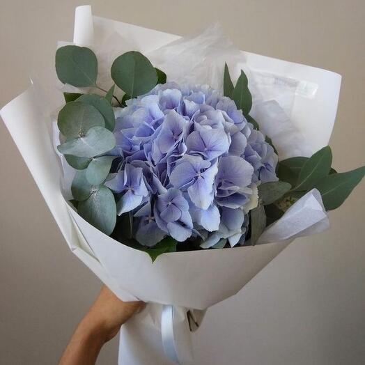Голубая гортензия Лавандовый утренник
