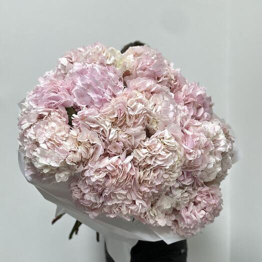 Розовые гортензии большой букет
