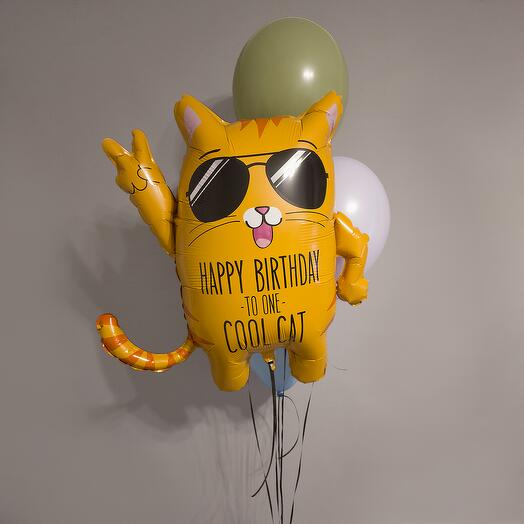 С Днём Рождения - фонтан из 4 латексных шаров и фигуры классного кота (БП000002)