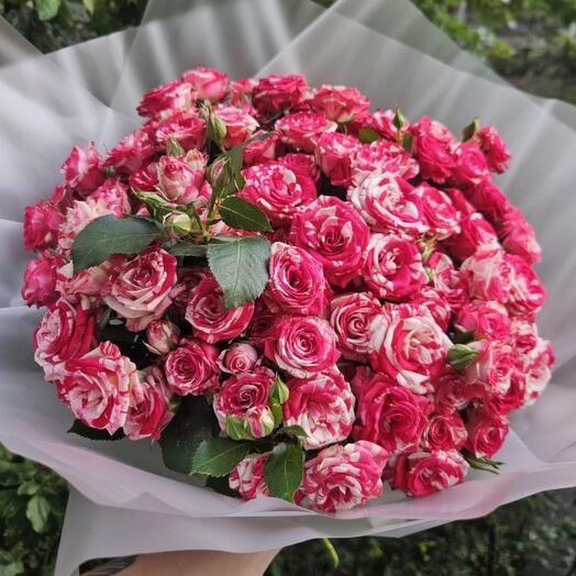 Букет "Ажурное Пламя", 25 кустовых пестрых красно-белых роз