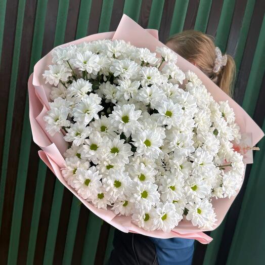 Букет из 15 кустовых ромашек ( белая хризантема )
