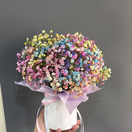 Гипсофила радужная 🥰
