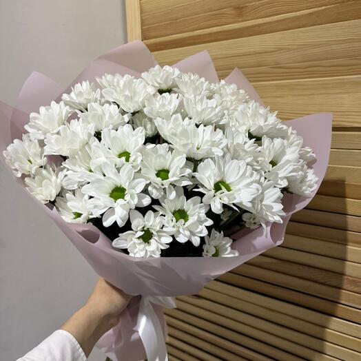 Хризантема кустовая ромашковидные  💞