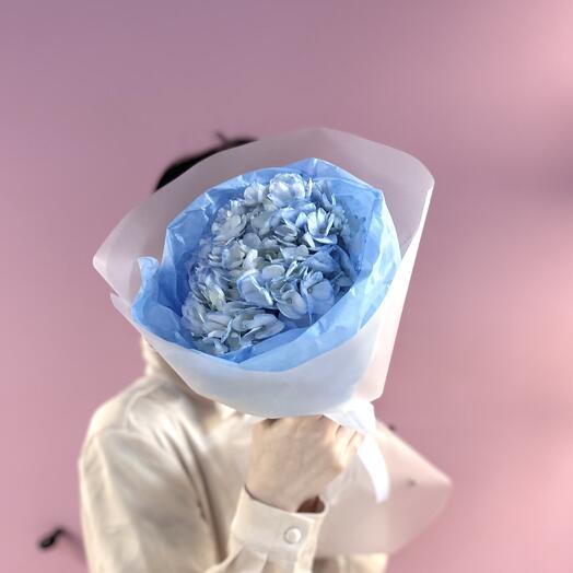 Милая голубая гортензия