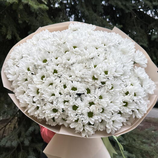 Bouquet di crisantemi bianchi