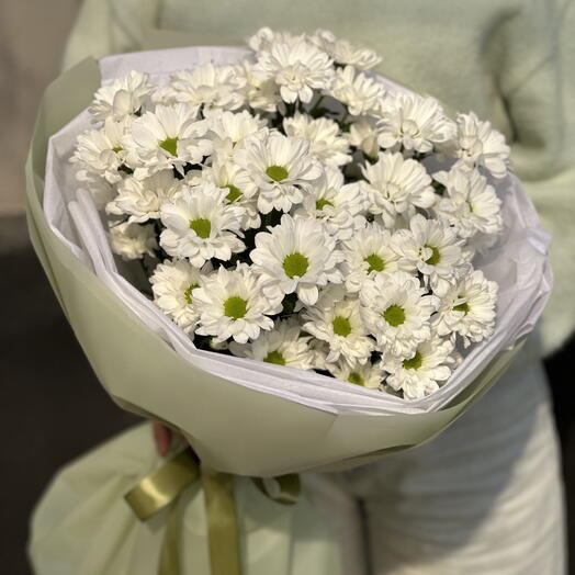 Ромашковые кустовые хризантемы