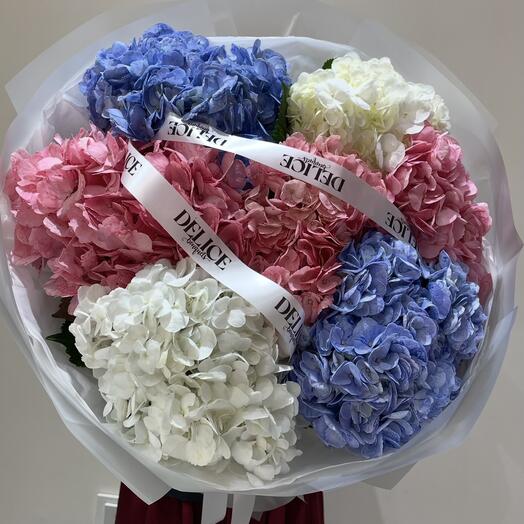 Гортензии 7