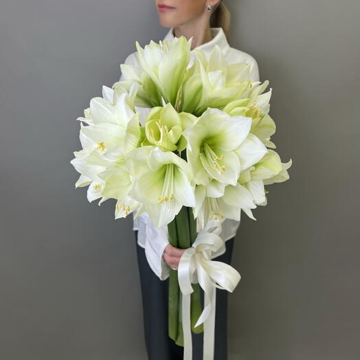 Белые Амариллисы  5 шт