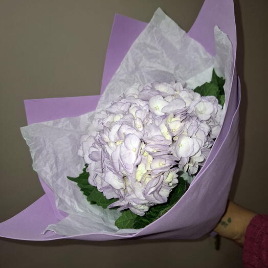 Букет из фиолетовой гортензии (1 шт)