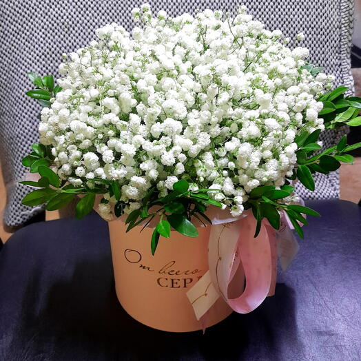 Шляпная коробка с Гипсофилой