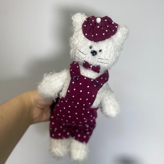 Котик в бордовом комбинезоне