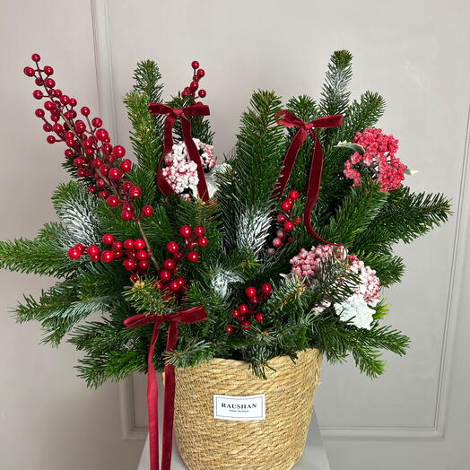 Нобилис в кашпо размер L