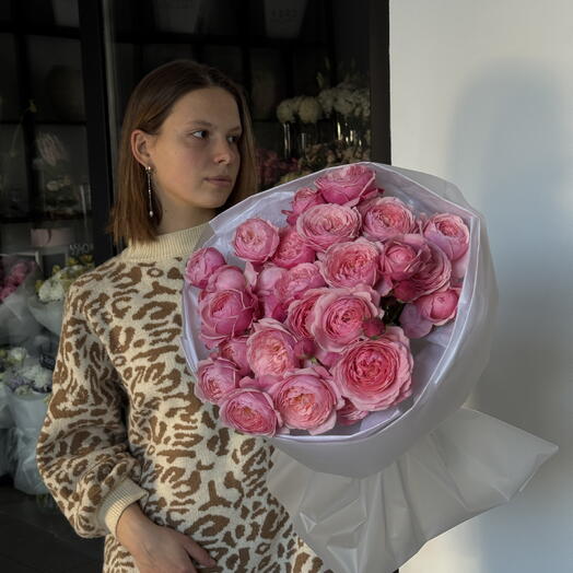 Сильва пинк