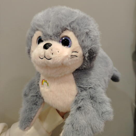 Морской котик